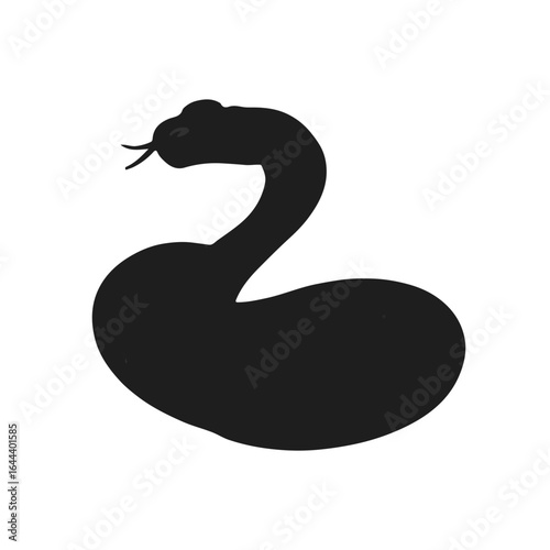 Stiletto Snake Animal