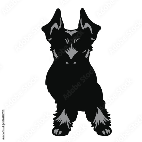 Standard Schnauzer Illustration