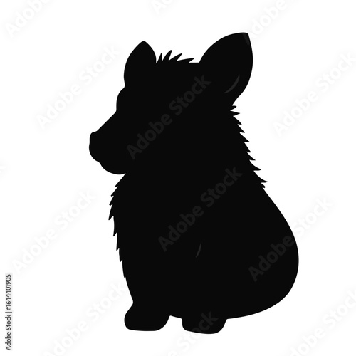 Stabyhoun Black Canine