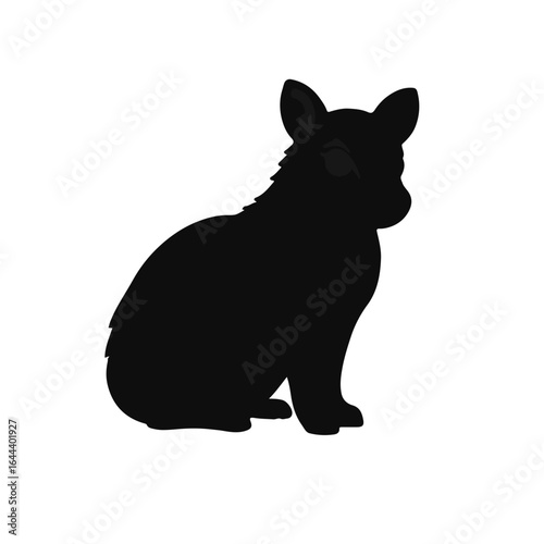 Stabyhoun Black Animal