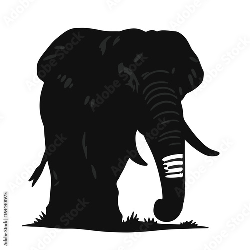 Sri Lankan Elephant Image