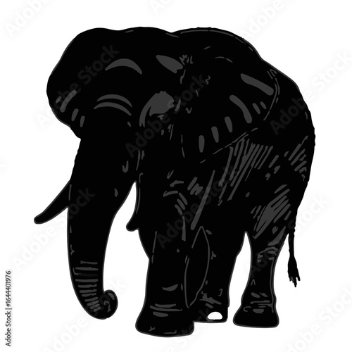 Sri Lankan Elephant Image