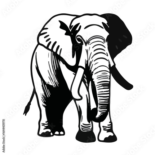 Sri Lankan Elephant Imagery