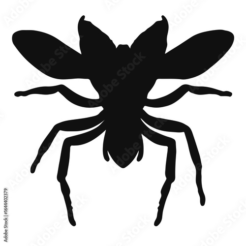 Spider-Wasp Animal Illustration