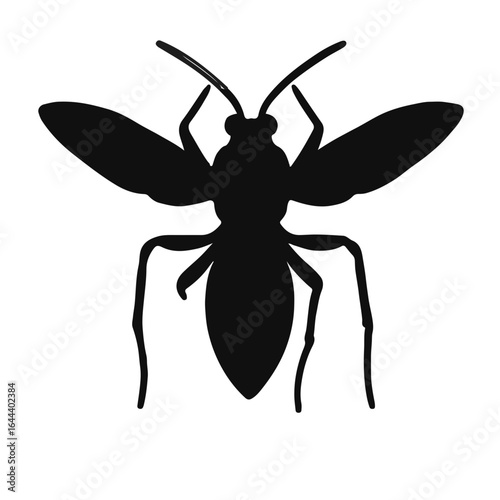 Spider-Wasp Hybrid Creature