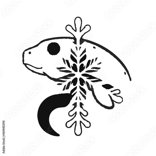 Snowflake Eel Animal