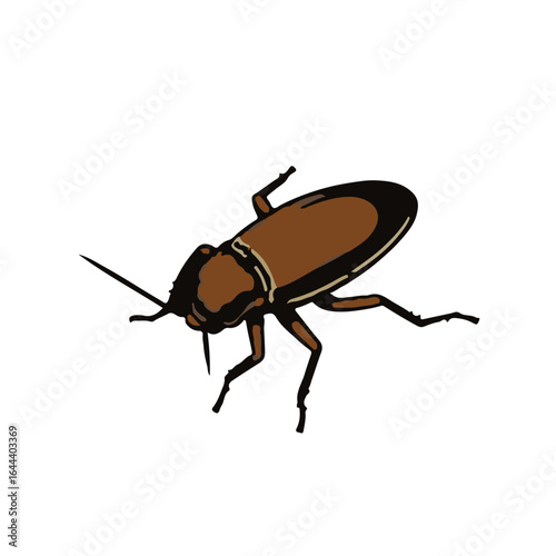 Smoky-Brown Cockroach Photograph
