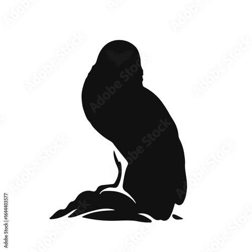 Black Skua Animal Illustration