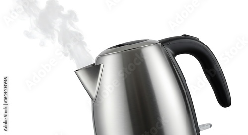 Stainless Steel Electric Kettle Steaming Hot Water for Beverages and Kitchen Use