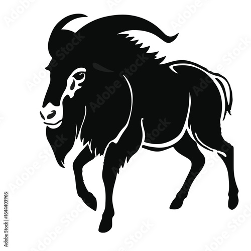 Sichuan-Tibetan Takin Photography