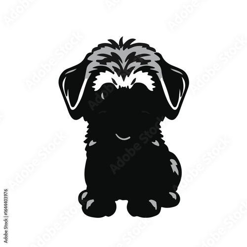 Siberian Poo Dog - Black