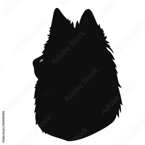 Siberian Retriever Image