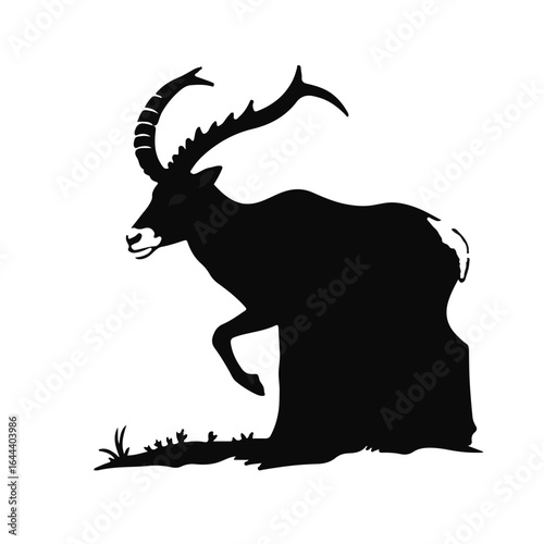 Siberian Ibex Animal