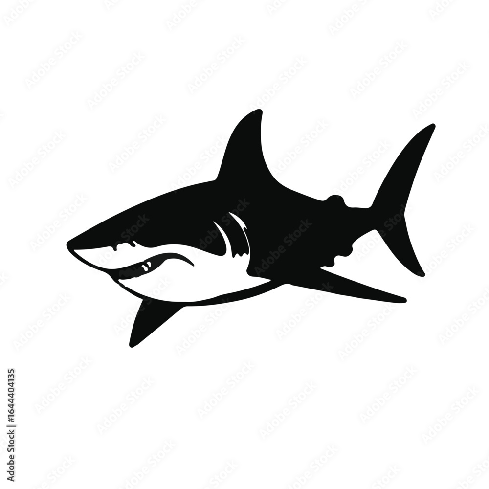 Fototapeta premium Shortfin Mako Shark