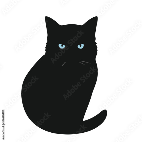 Black Siamese Cat