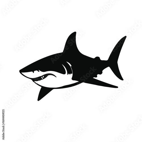 Shortfin Mako Shark