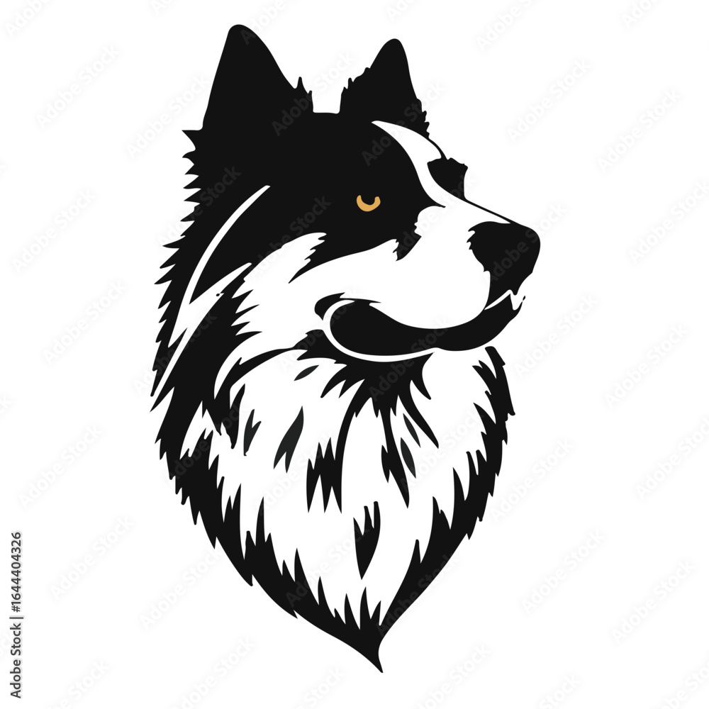 Obraz premium Shiloh Shepherd Pet