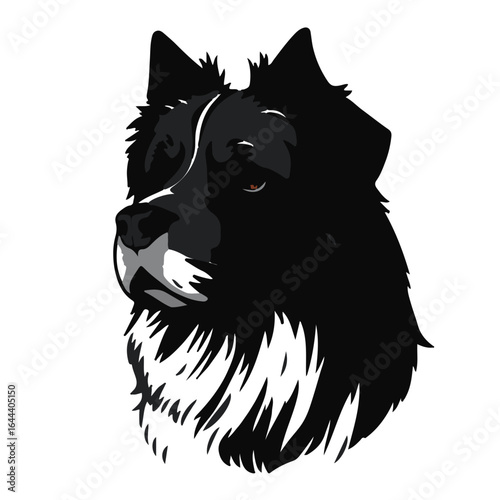 Black Shepherd Dog