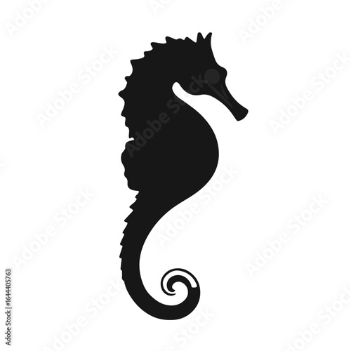 Black Seahorse