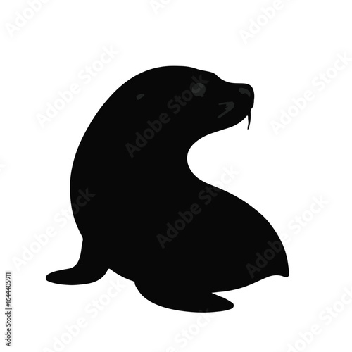 Black Sea Lion