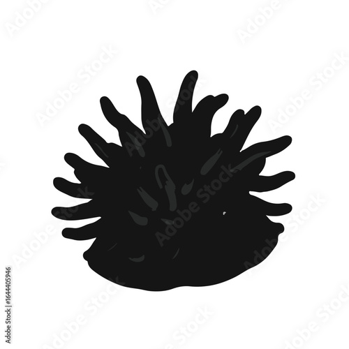 Sea Anemone Marine Life