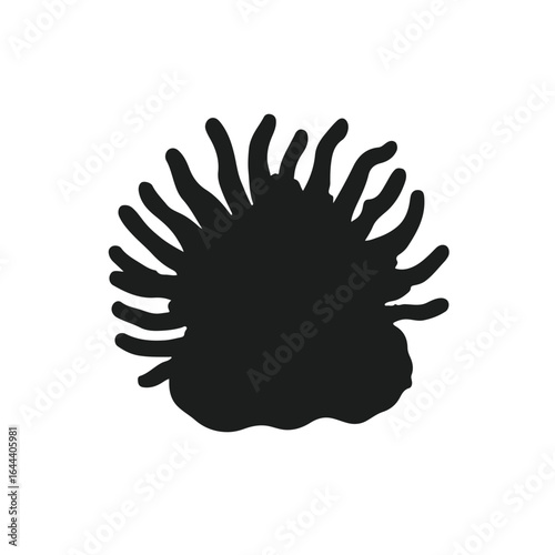 Sea Anemone Marine Life