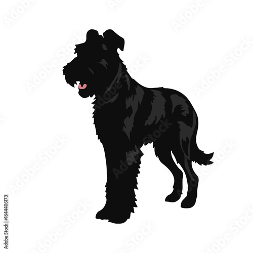 Scottish Deerhound Portrait