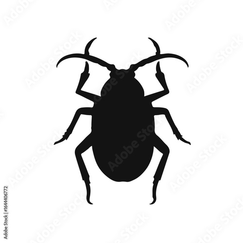 Scarab-Beetle