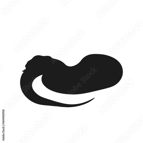 Sawscaled Viper Animal