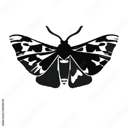 Saturn Moth Image