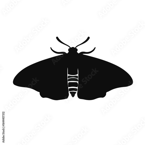 Saturn Moth Image