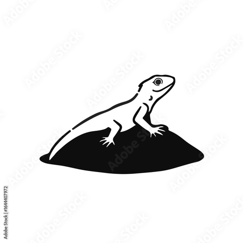 Sand Lizard Illustration