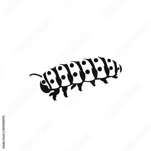 Saddleback Caterpillar