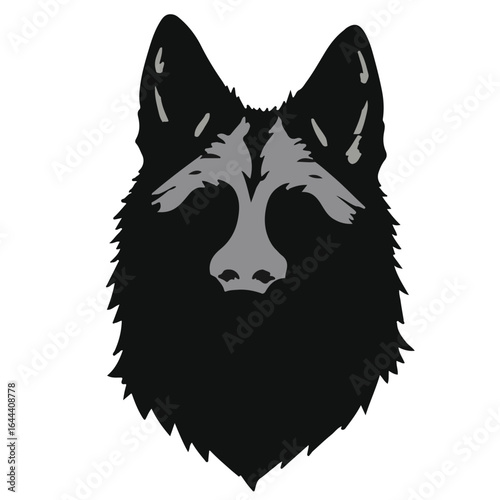 Saarloos Wolfdog Illustration
