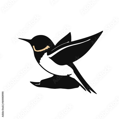 Black Swallow Animal