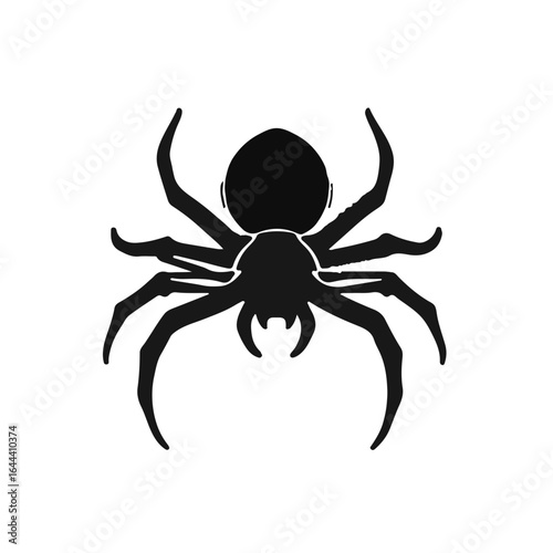 Black-Sea-Spider-