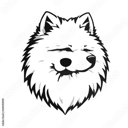 Black Samoyed Animal