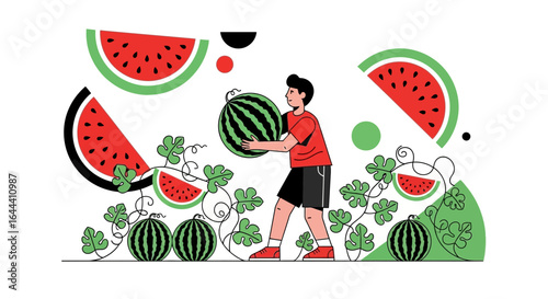 Illustration of a person carrying a watermelon in a watermelon field healthy summer