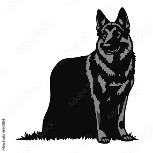 Black German Shepherd