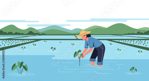 Illustration of a farmer planting crops in a flooded field with mountains in background