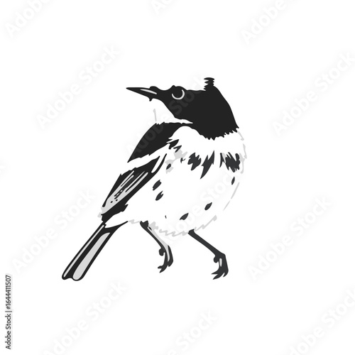 Ruby-Crowned Kinglet Bird