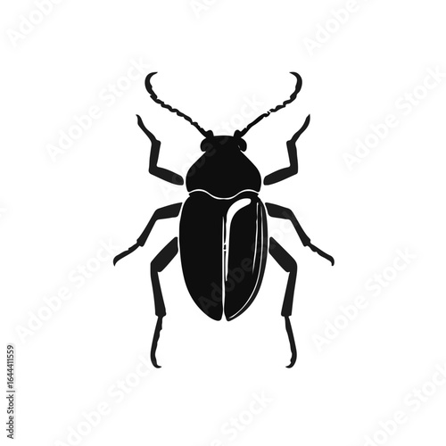 Rove-Beetle-Animal