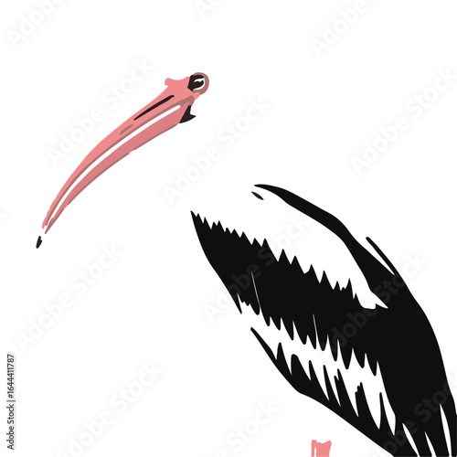 Roseate Spoonbill Photography