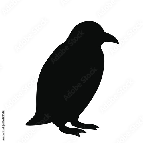 Rockhopper Penguin Illustration