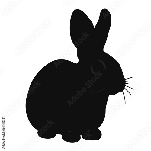 Black Rabbit Image