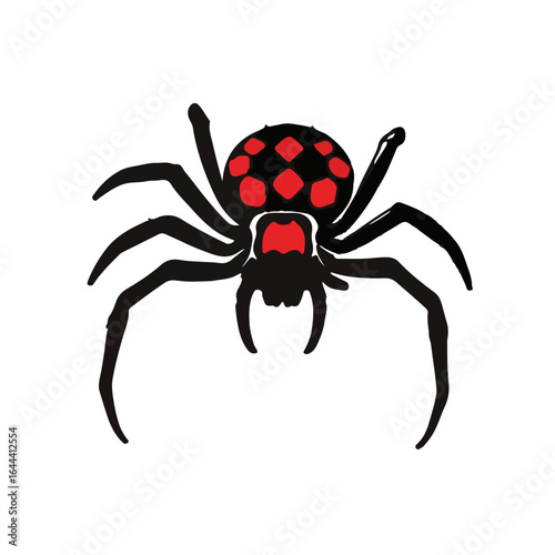 Redback Spider Graphic