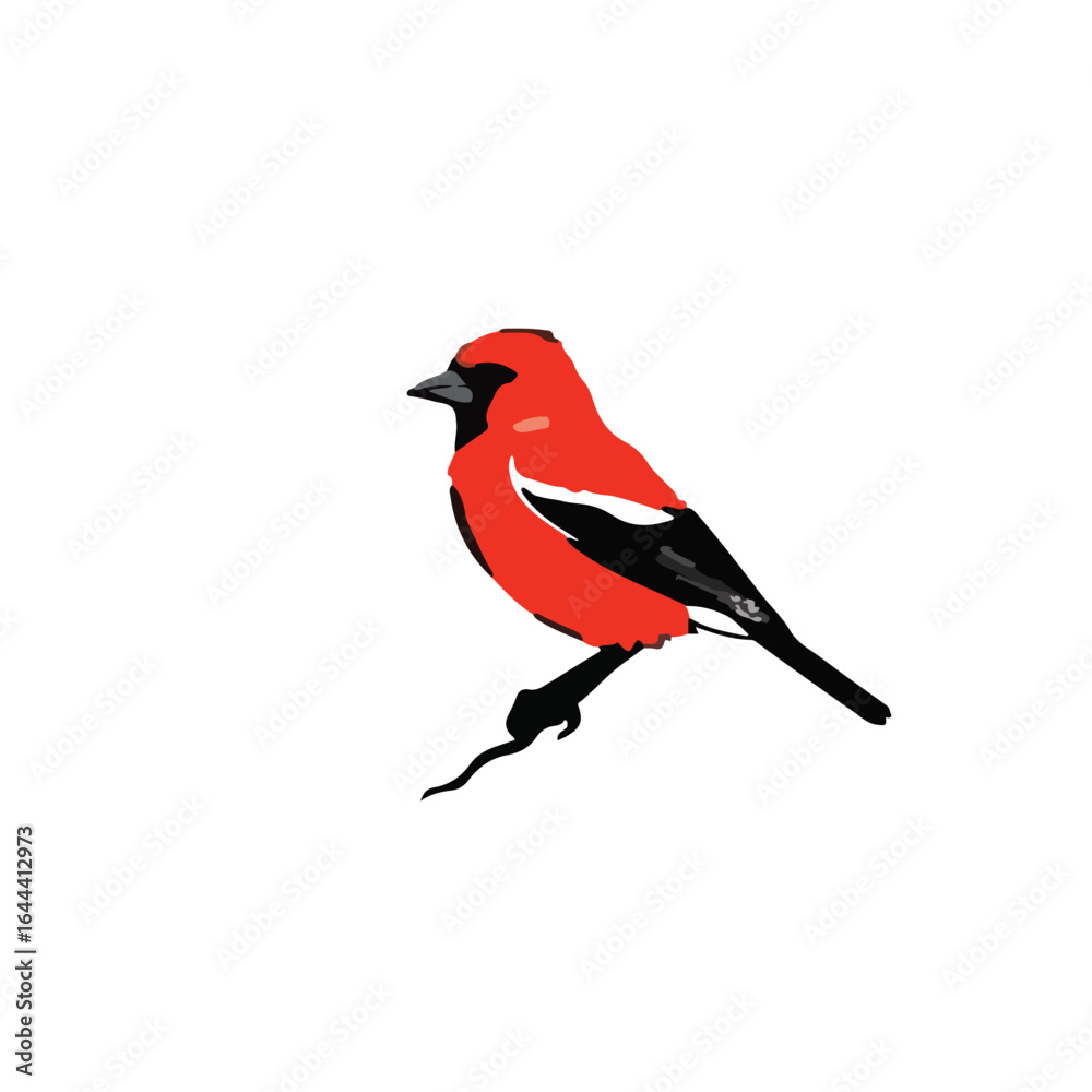 Obraz premium Red Finch Illustration