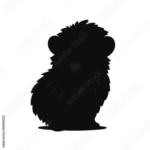 Black Ragamuffin Cat