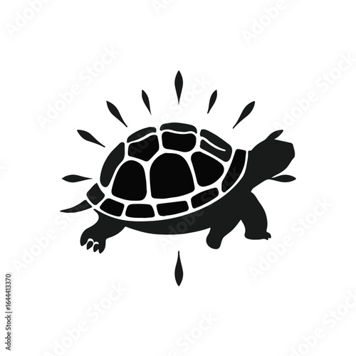 Radiated Tortoise Illustration
