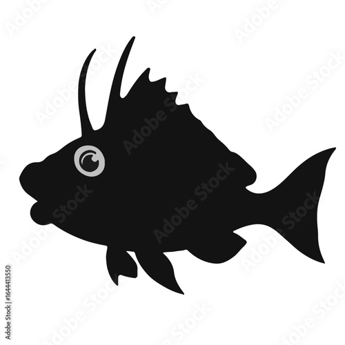 Black Rockfish Marine Life